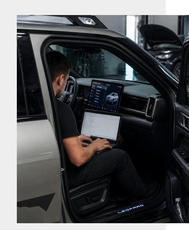Русификация BYD Leopard 3 в Похвистневе по цене от 20401 р. | ФастМобиль-Пхв